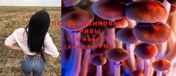 СК Нязепетровск