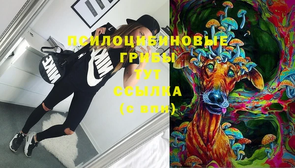 винт Нягань