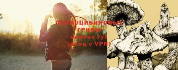 винт Нягань