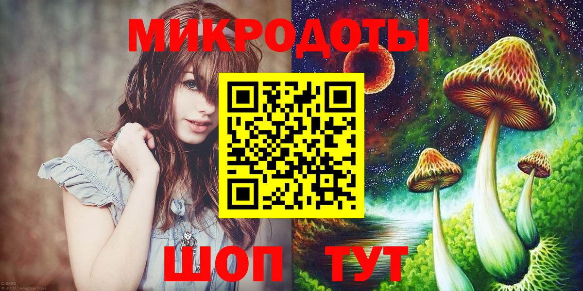 Галлюциногенные грибы Psilocybe Кузнецк