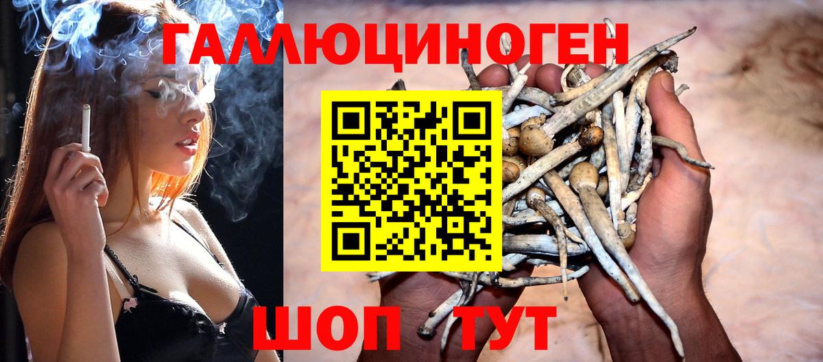 Кузнецк  Галлюциногенные грибы Magic Shrooms  Вход с VPN 